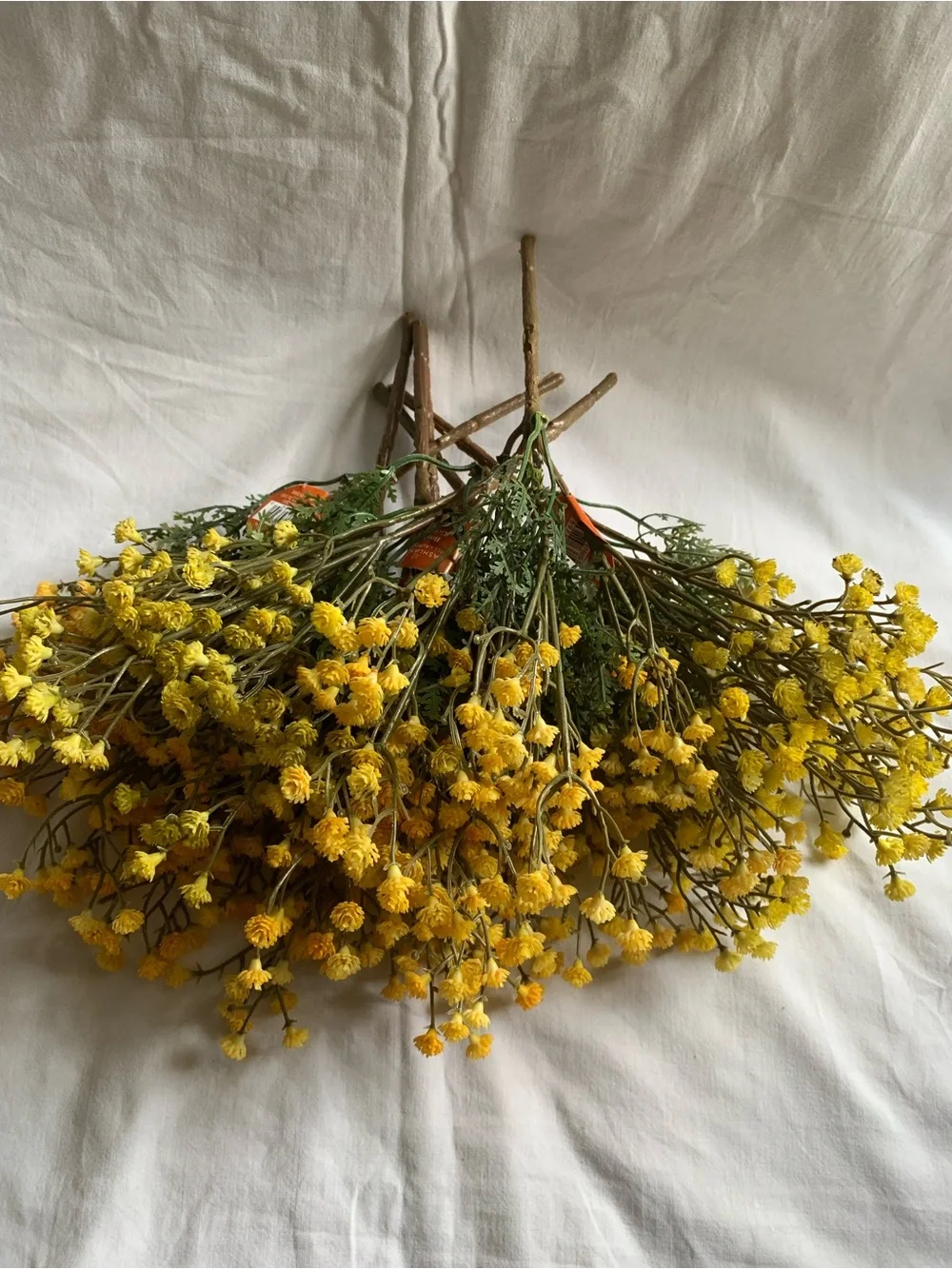 NWT Bundle of 8, 11 in Ashland Yellow Gypsophila Flowers